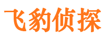 徐水外遇出轨调查取证